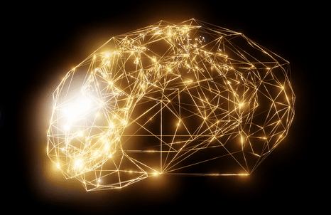 Double Their Synaptic Architecture Through Neural Development