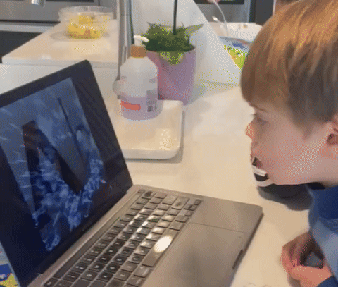 It Is Easy & Automatic for Infant Learning